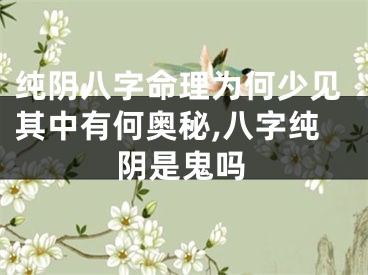 纯阴八字命理为何少见其中有何奥秘,八字纯阴是鬼吗
