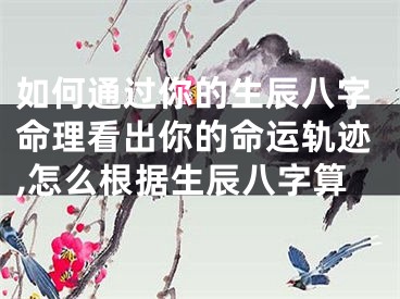 如何通过你的生辰八字命理看出你的命运轨迹,怎么根据生辰八字算