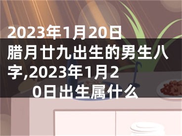 2023年1月20日腊月廿九出生的男生八字,2023年1月20日出生属什么