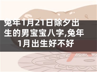 兔年1月21日除夕出生的男宝宝八字,兔年1月出生好不好