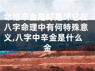 命格辛金是好是坏它在八字命理中有何特殊意义,八字中辛金是什么金