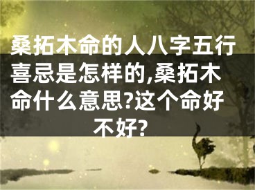 桑拓木命的人八字五行喜忌是怎样的,桑拓木命什么意思?这个命好不好?