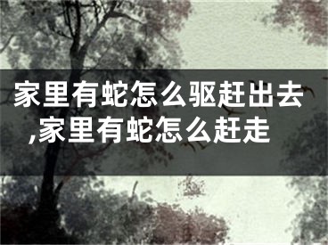 家里有蛇怎么驱赶出去,家里有蛇怎么赶走