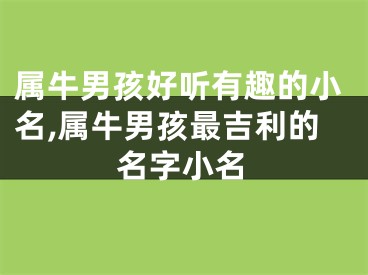 属牛男孩好听有趣的小名,属牛男孩最吉利的名字小名