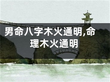男命八字木火通明,命理木火通明