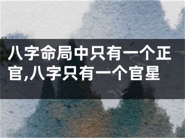 八字命局中只有一个正官,八字只有一个官星