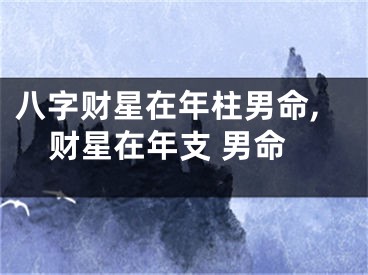 八字财星在年柱男命,财星在年支 男命