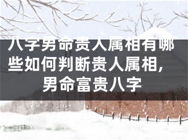 八字男命贵人属相有哪些如何判断贵人属相,男命富贵八字