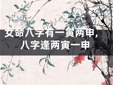 女命八字有一寅两申,八字逢两寅一申