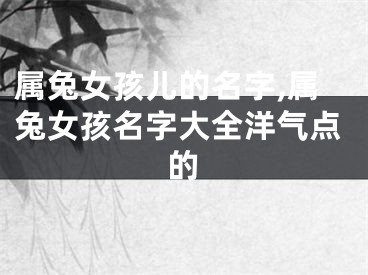 属兔女孩儿的名字,属兔女孩名字大全洋气点的