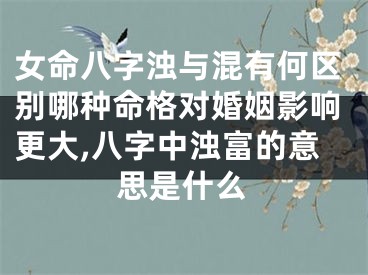 女命八字浊与混有何区别哪种命格对婚姻影响更大,八字中浊富的意思是什么