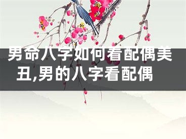 男命八字如何看配偶美丑,男的八字看配偶