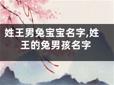 姓王男兔宝宝名字,姓王的兔男孩名字