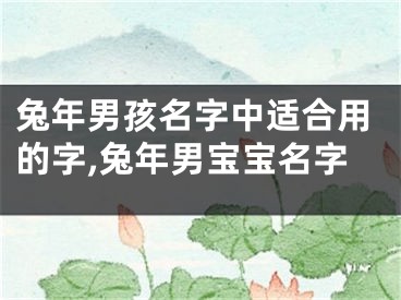兔年男孩名字中适合用的字,兔年男宝宝名字