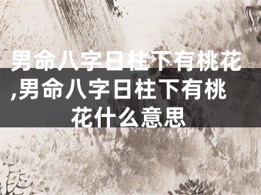 男命八字日柱下有桃花,男命八字日柱下有桃花什么意思
