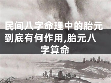 民间八字命理中的胎元到底有何作用,胎元八字算命