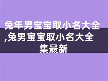 兔年男宝宝取小名大全,兔男宝宝取小名大全集最新