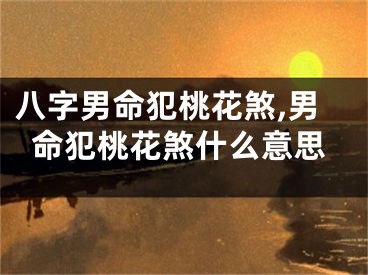 八字男命犯桃花煞,男命犯桃花煞什么意思