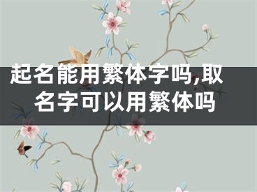 起名能用繁体字吗,取名字可以用繁体吗