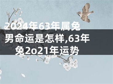 2024年63年属兔男命运是怎样,63年兔2o21年运势