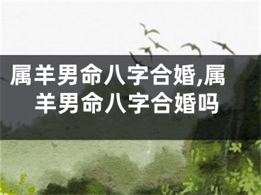 属羊男命八字合婚,属羊男命八字合婚吗