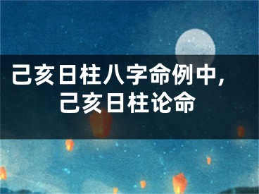 己亥日柱八字命例中,己亥日柱论命
