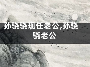 孙骁骁现任老公,孙骁骁老公