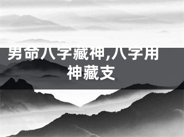 男命八字藏神,八字用神藏支