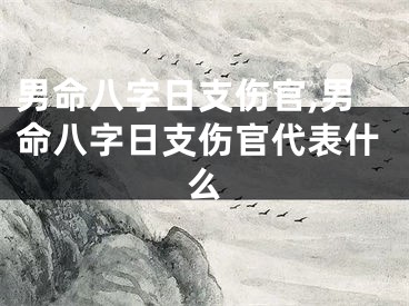 男命八字日支伤官,男命八字日支伤官代表什么