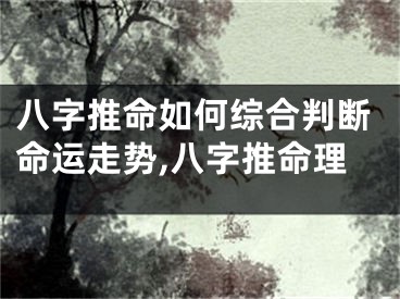 八字推命如何综合判断命运走势,八字推命理