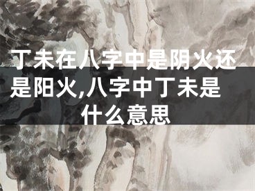 丁未在八字中是阴火还是阳火,八字中丁未是什么意思