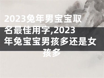 2023兔年男宝宝取名最佳用字,2023年兔宝宝男孩多还是女孩多