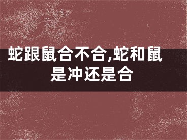 蛇跟鼠合不合,蛇和鼠是冲还是合