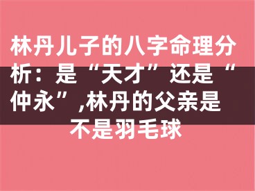 林丹儿子的八字命理分析：是“天才”还是“仲永”,林丹的父亲是不是羽毛球