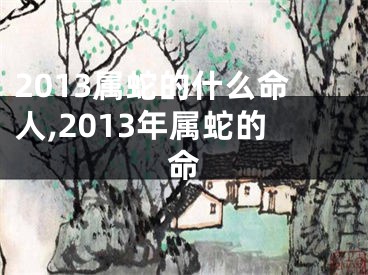 2013属蛇的什么命人,2013年属蛇的命