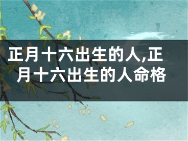 正月十六出生的人,正月十六出生的人命格