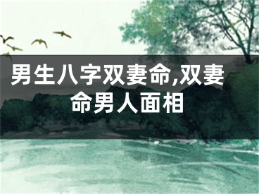 男生八字双妻命,双妻命男人面相