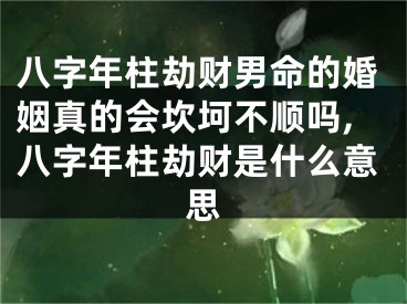 八字年柱劫财男命的婚姻真的会坎坷不顺吗,八字年柱劫财是什么意思
