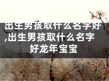 出生男孩取什么名字好,出生男孩取什么名字好龙年宝宝