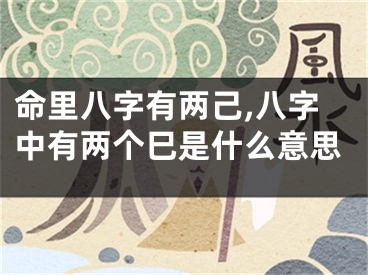 命里八字有两己,八字中有两个巳是什么意思