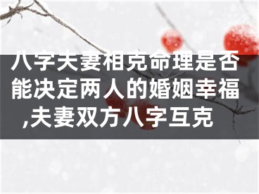 八字夫妻相克命理是否能决定两人的婚姻幸福,夫妻双方八字互克