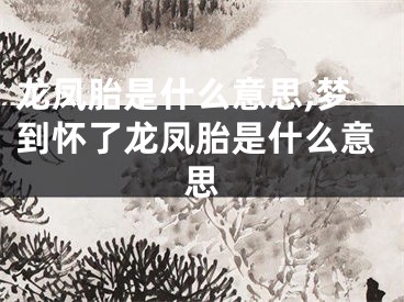 龙凤胎是什么意思,梦到怀了龙凤胎是什么意思