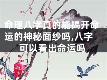 命理八字真的能揭开命运的神秘面纱吗,八字可以看出命运吗