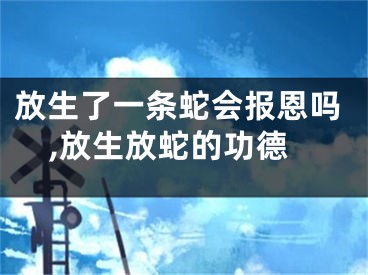 放生了一条蛇会报恩吗,放生放蛇的功德