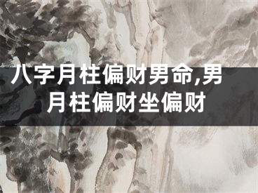 八字月柱偏财男命,男月柱偏财坐偏财