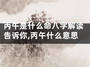 丙午是什么命八字解读告诉你,丙午什么意思