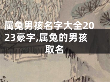 属兔男孩名字大全2023豪字,属兔的男孩取名