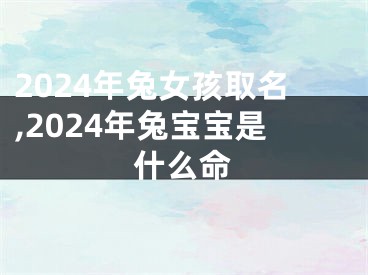 2024年兔女孩取名,2024年兔宝宝是什么命