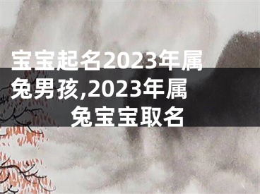 宝宝起名2023年属兔男孩,2023年属兔宝宝取名