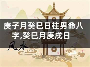 庚子月癸巳日柱男命八字,癸巳月庚戌日